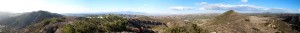 lizzard-pano-2